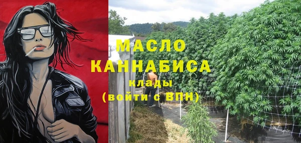 молекула духа Переславль-Залесский
