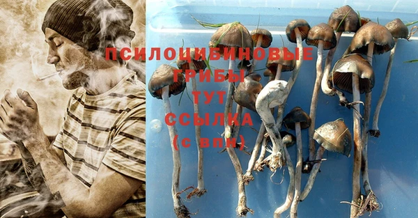 mdpv Пестово