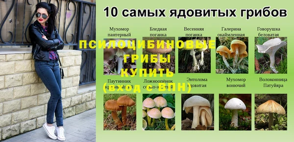 молекула духа Переславль-Залесский