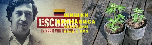 mdpv Пестово
