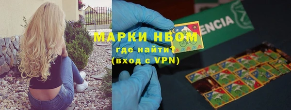 молекула духа Переславль-Залесский