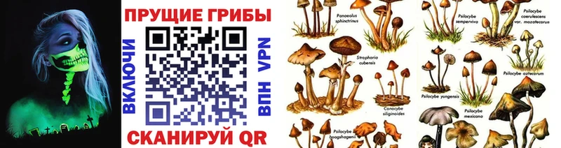 Псилоцибиновые грибы Magic Shrooms  Углегорск 
